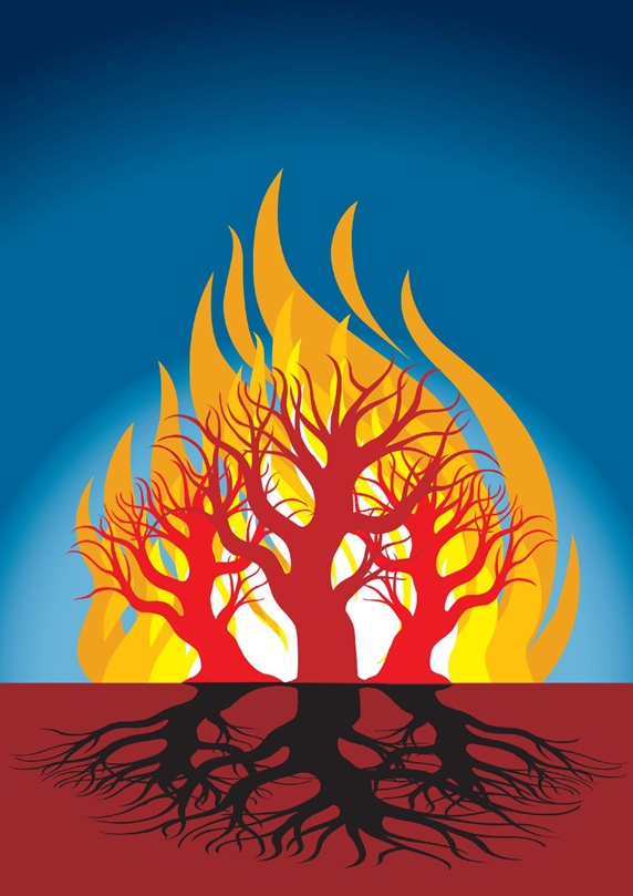 Tree in fire, roots underground