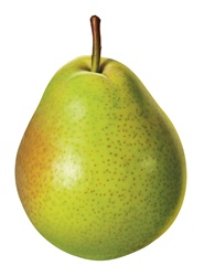 Fresh green pear on white background