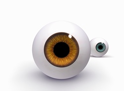 Brown and blue glass eyeballs on white background