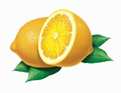Close up of fresh lemons
