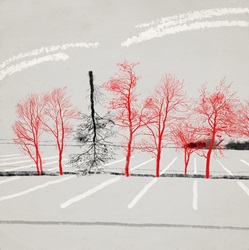 Row of red bare trees and one black tree upside down
