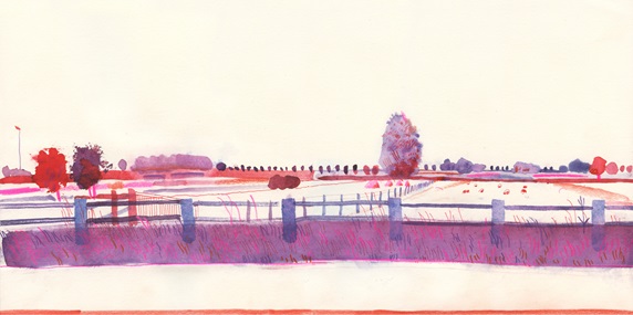 Landscape with fields and fence