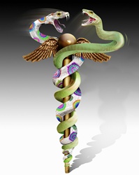 Green and multicolored snakes fighting on caduceus