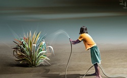 Teenage girl watering plant in desert