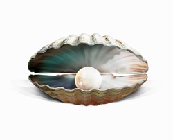 Pearl inside of oyster shell