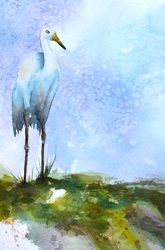 Stork standing in field