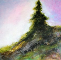 Evergreen tree on hill