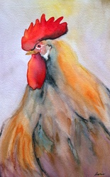 Close up of chicken