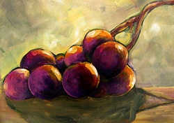 Still life of bunch of purple grapes