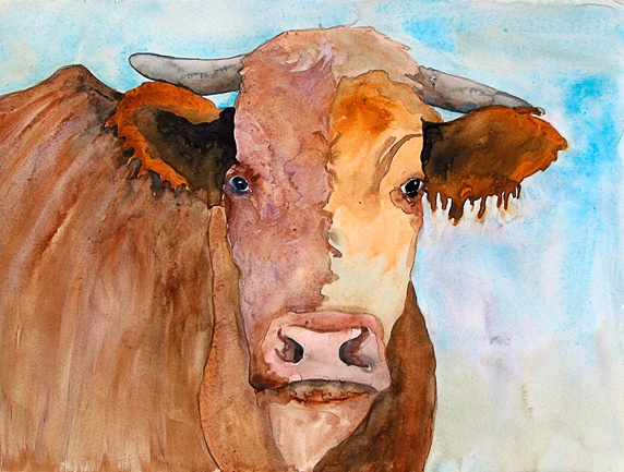 Watercolor close up of cow looking at camera,