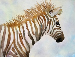 Portrait of zebra