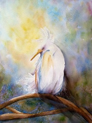 Portrait of white bird