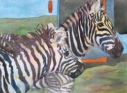 Two zebras in grass