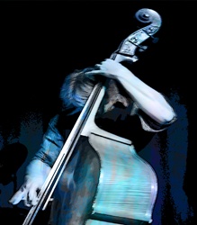 Man playing double-bass