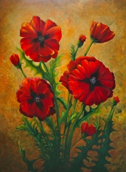 Bunch of poppies