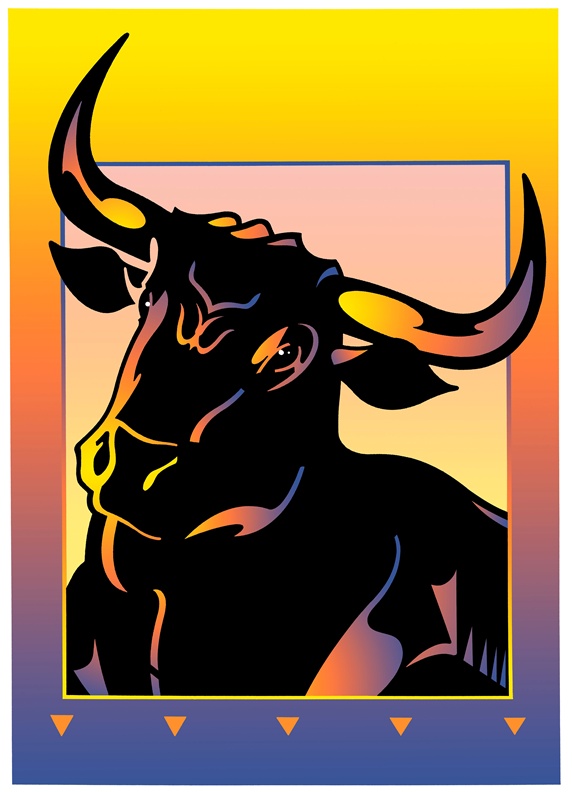 Black bull in frame