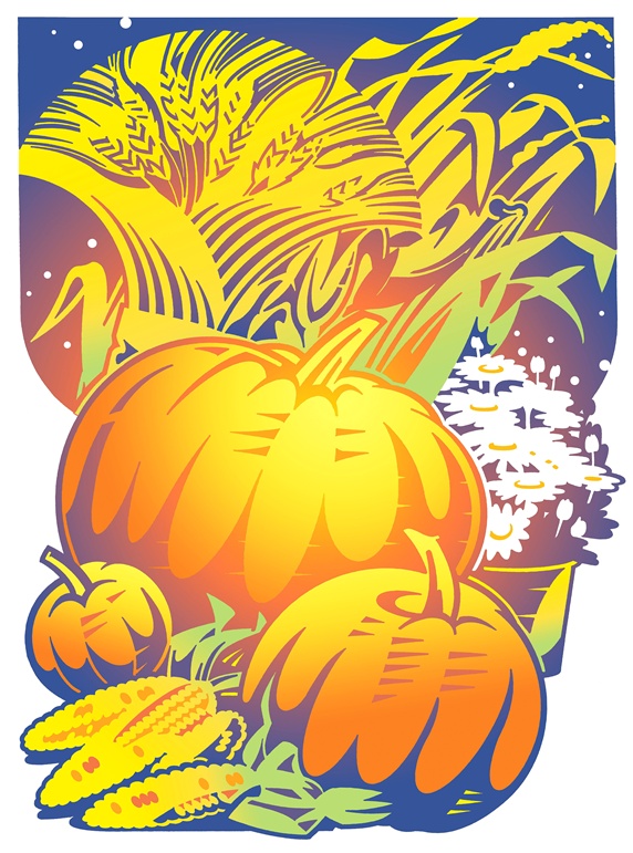 Illustration of pumpkins
