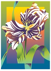 Close up of flower on colored background