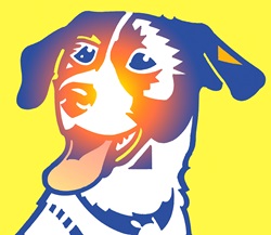 Portrait of dog on yellow background