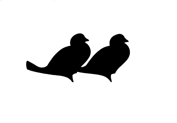 Two birds side by side perching