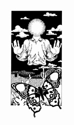 Butterfly and man behind sun