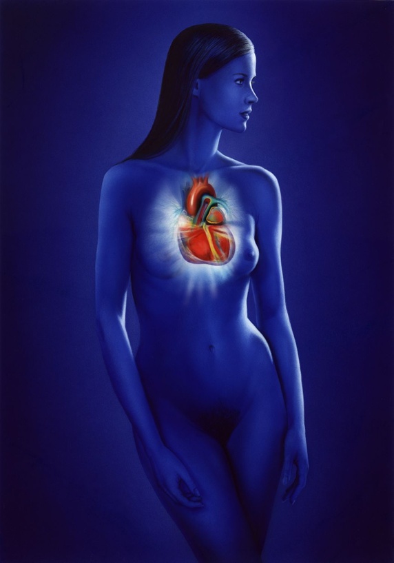 Heart placement in body