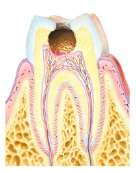 Close up of human teeth