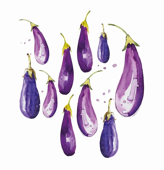Watercolour painting of aubergines