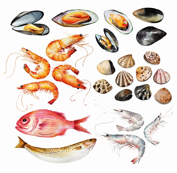 Watercolour painting of range of seafood
