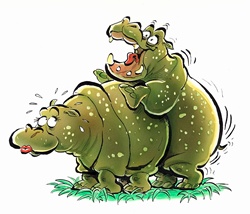 Hippopotamuses mating