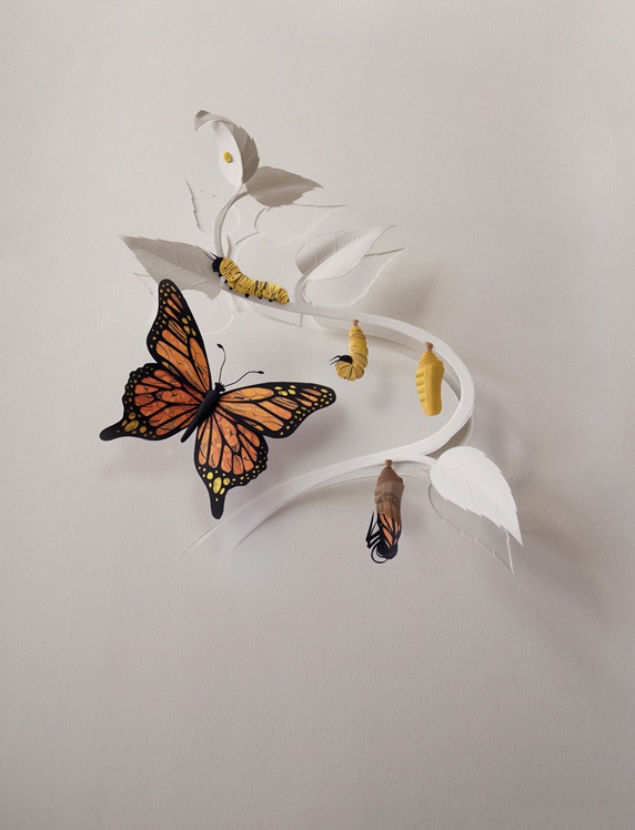 Stages of butterfly metamorphosis in paper art