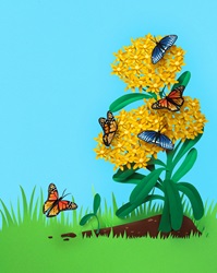 Butterflies on yellow flower growing in field