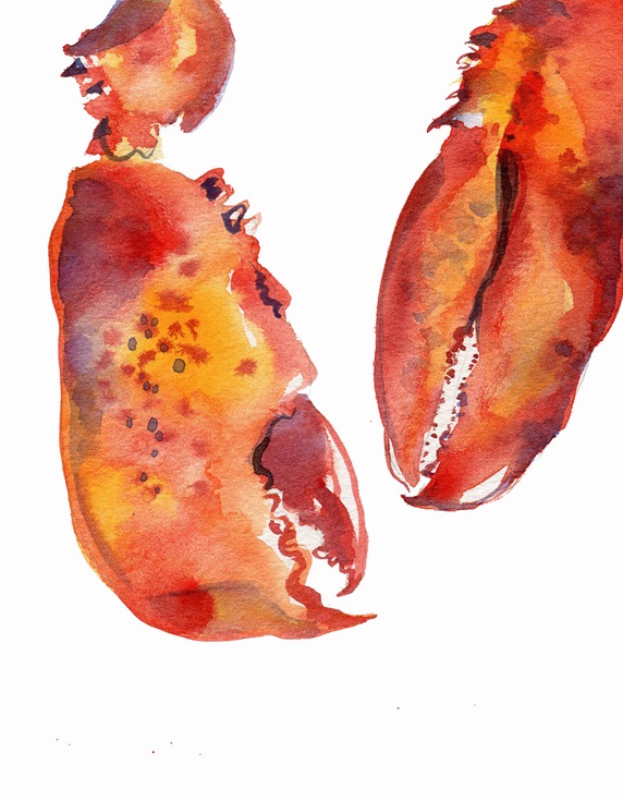 Watercolor painting of two lobster claws