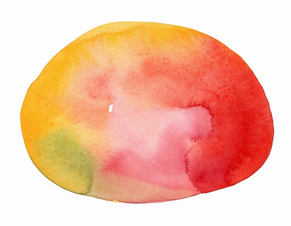 Watercolor painting of ripe mango