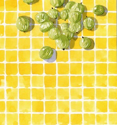 Watercolor painting of fresh gooseberries on checked tile pattern