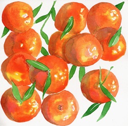Watercolor painting of satsuma oranges