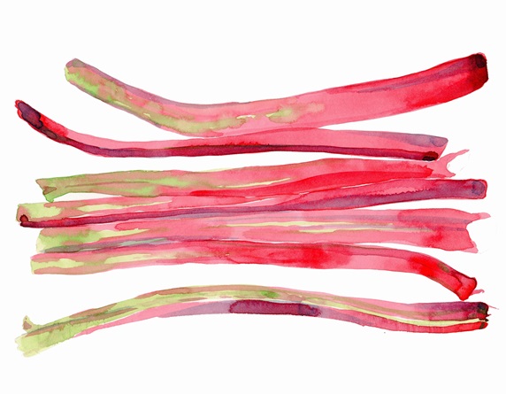Watercolor painting of sticks of rhubarb