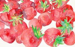 Watercolor painting of fresh strawberries