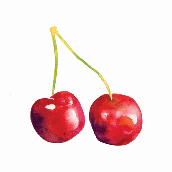 Watercolour painting of two cherries