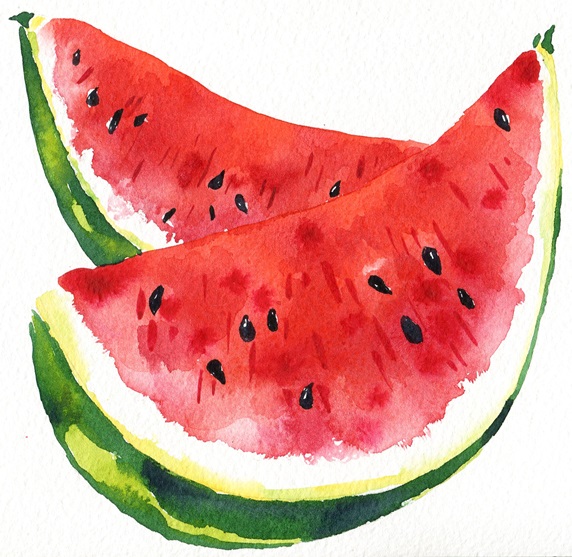 Slices of watermelon on white background