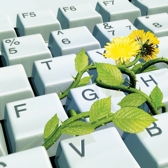 Flower on computer keyboard