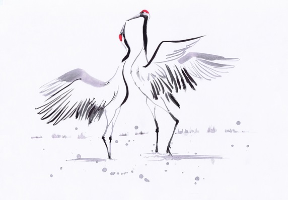 Two Japanese cranes