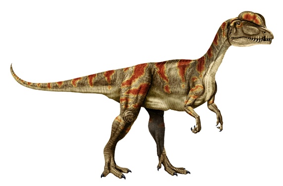 Gray orange dinosaur against white background