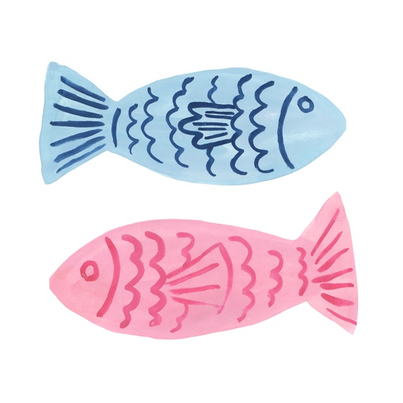 Blue and pink fish on white background