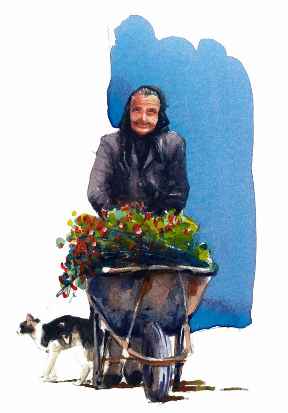 Old woman pushing wheel barrel with flowers, cat behind her