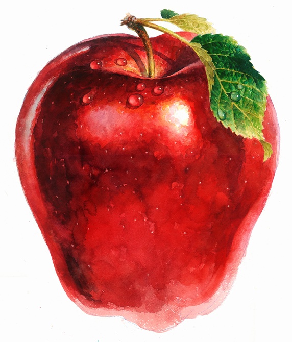 Close up of fresh red apple with water droplets