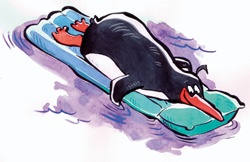 Penguin relaxing on inflatable raft