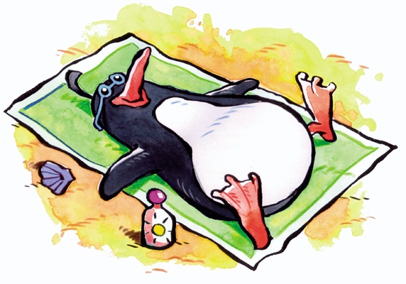 Penguin relaxing on beach