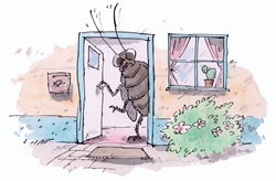 Fly standing in open door