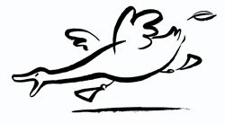 Side view of running duck